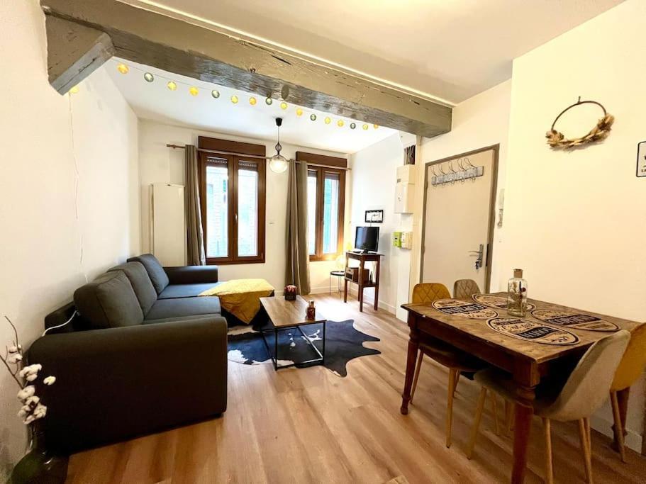 Le Countryside- Hyper Centre Apartment Sens Bagian luar foto