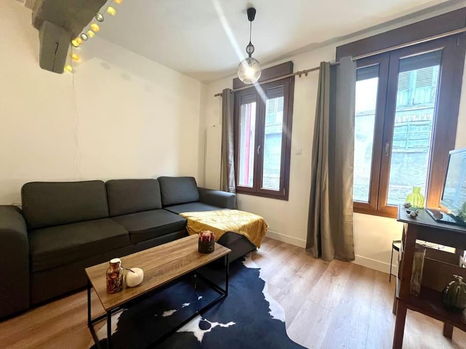 Le Countryside- Hyper Centre Apartment Sens Bagian luar foto